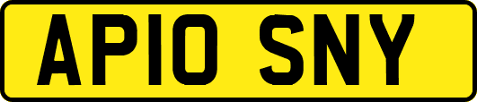 AP10SNY