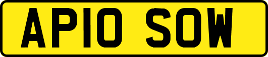 AP10SOW