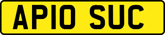 AP10SUC