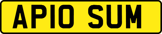 AP10SUM