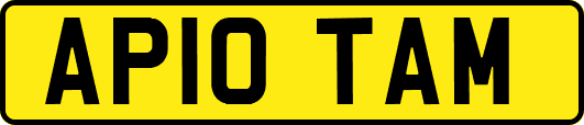 AP10TAM