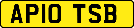 AP10TSB