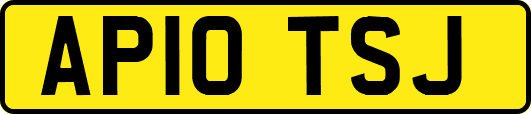 AP10TSJ