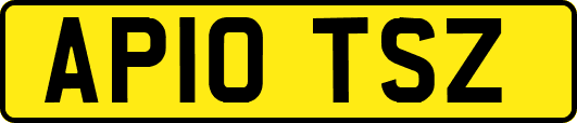 AP10TSZ