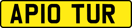 AP10TUR