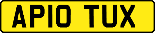 AP10TUX