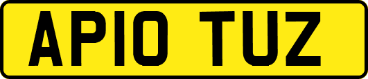 AP10TUZ