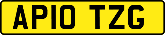 AP10TZG