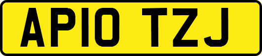 AP10TZJ