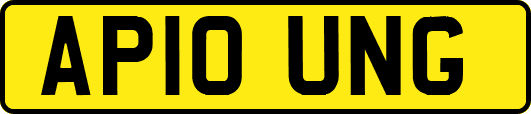 AP10UNG