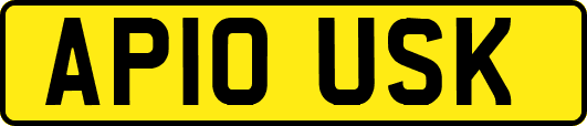 AP10USK