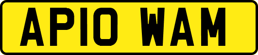 AP10WAM