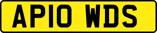 AP10WDS