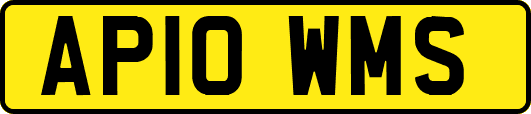 AP10WMS