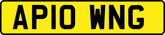 AP10WNG