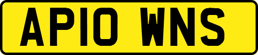AP10WNS