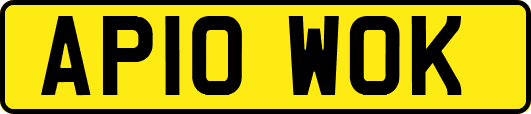AP10WOK