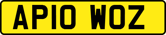 AP10WOZ