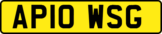 AP10WSG