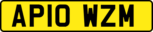 AP10WZM