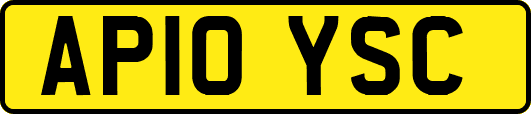 AP10YSC
