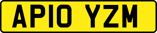 AP10YZM