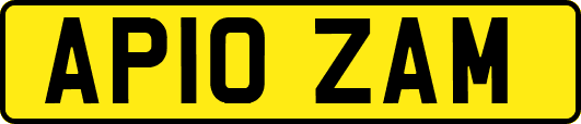 AP10ZAM