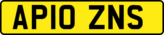 AP10ZNS