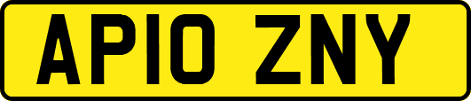 AP10ZNY