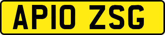 AP10ZSG