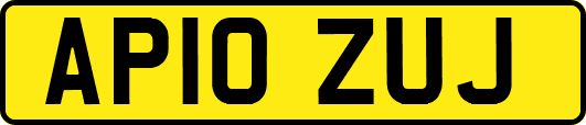 AP10ZUJ