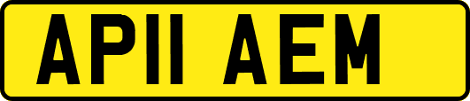 AP11AEM