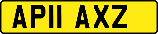 AP11AXZ