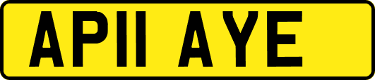 AP11AYE