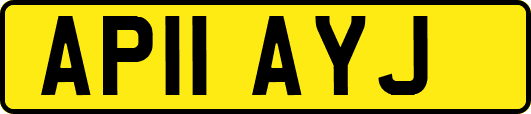 AP11AYJ