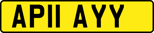 AP11AYY