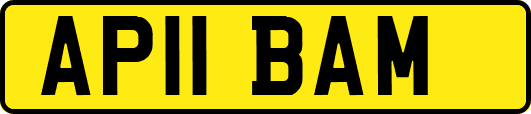 AP11BAM