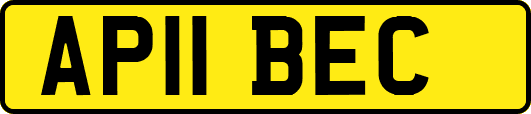 AP11BEC