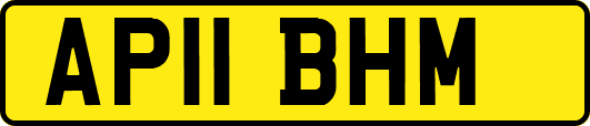 AP11BHM