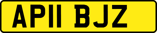 AP11BJZ