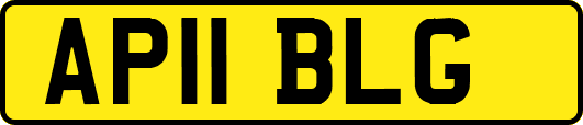 AP11BLG
