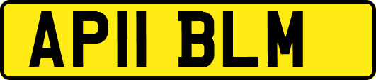 AP11BLM