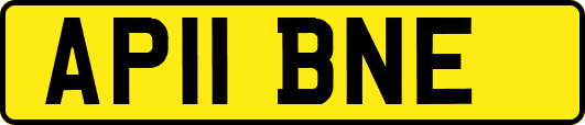 AP11BNE
