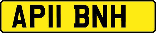 AP11BNH