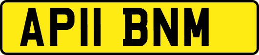 AP11BNM
