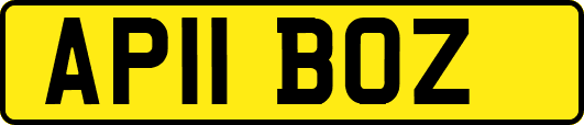 AP11BOZ