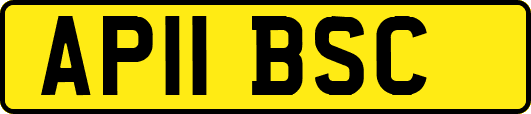 AP11BSC