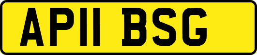 AP11BSG