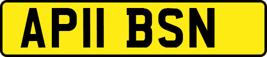 AP11BSN