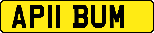 AP11BUM
